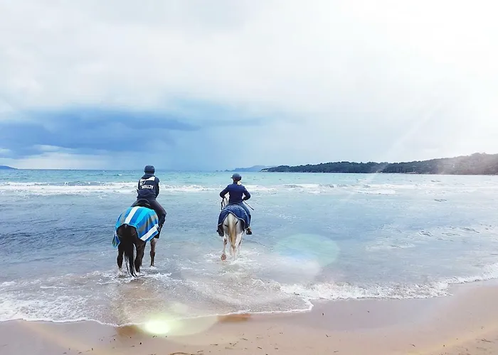 Les Ecrins De La Badine - Hameaux Lejlighed Hyères